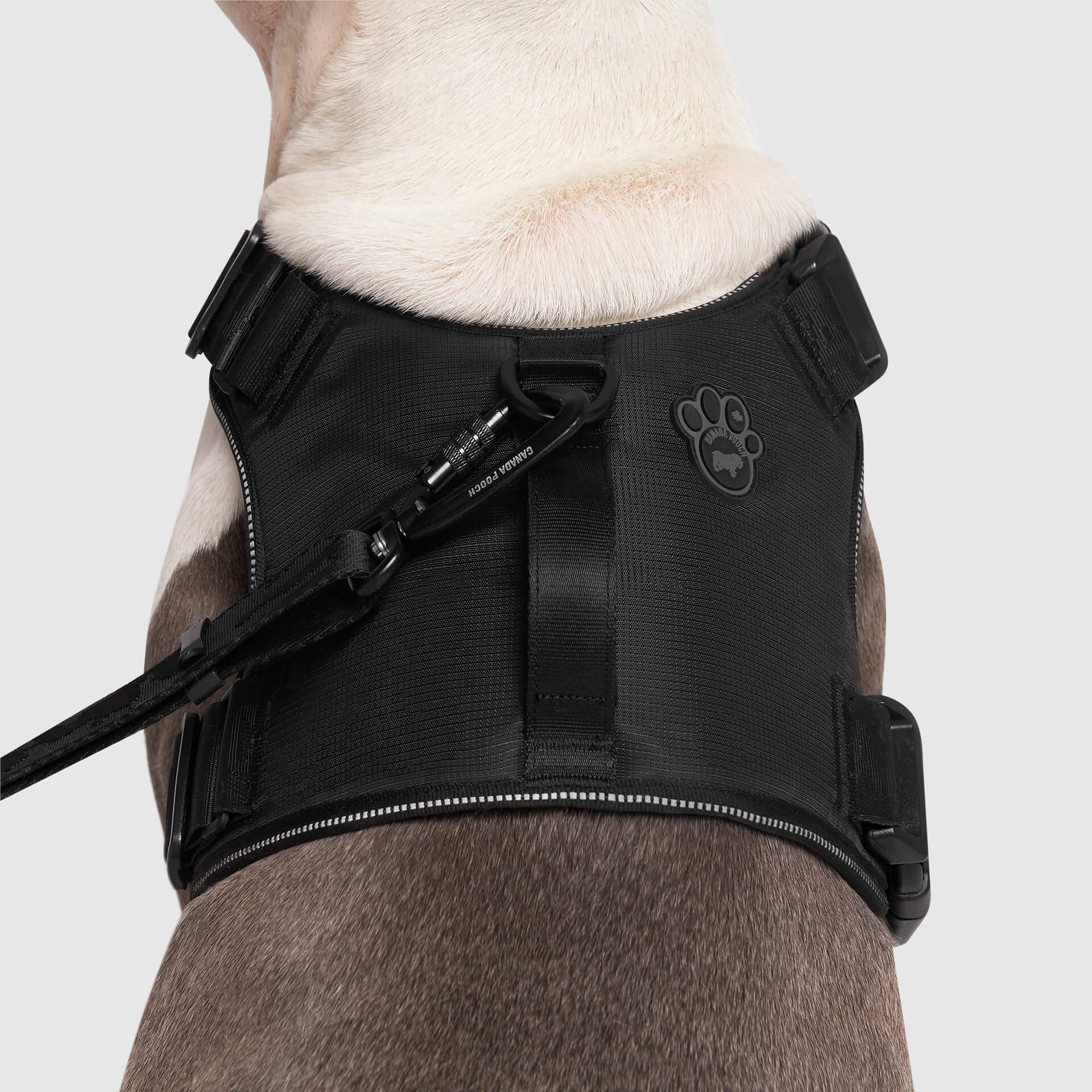 Complete Control Harness K8