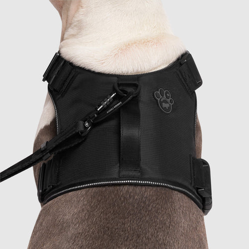 Complete Control Harness K8
