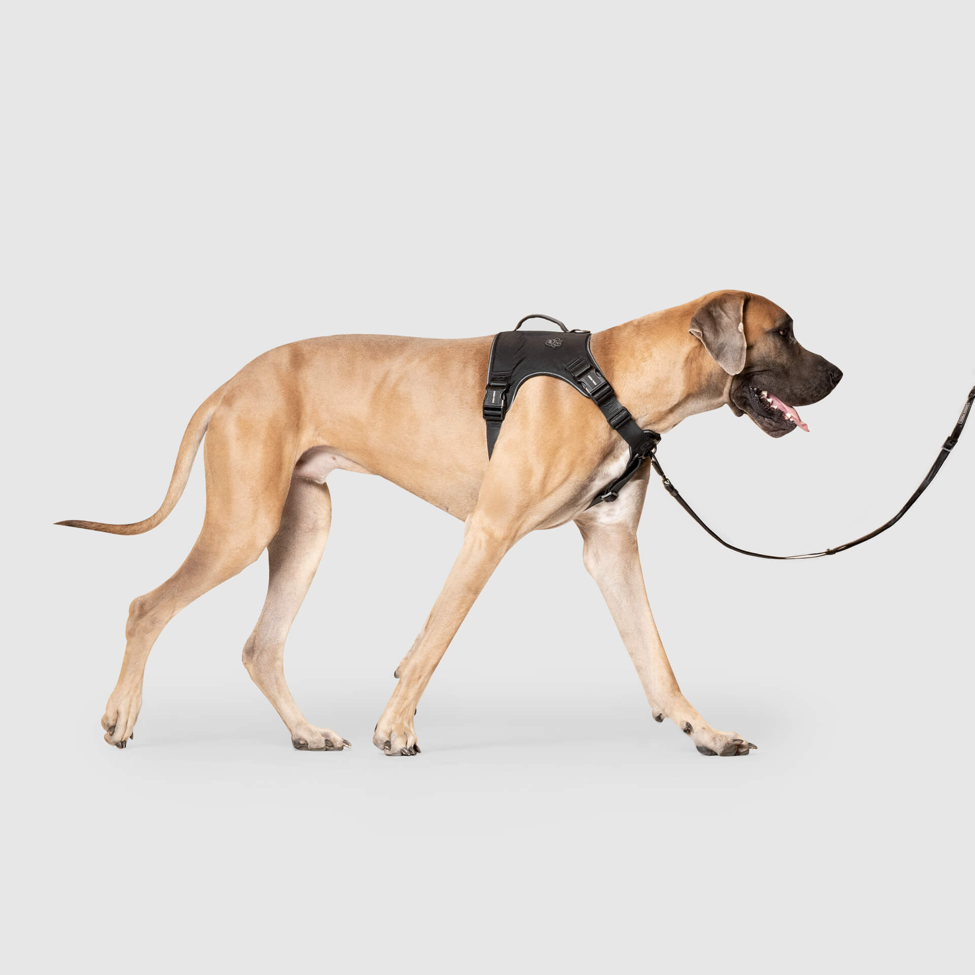Complete Control Harness K8