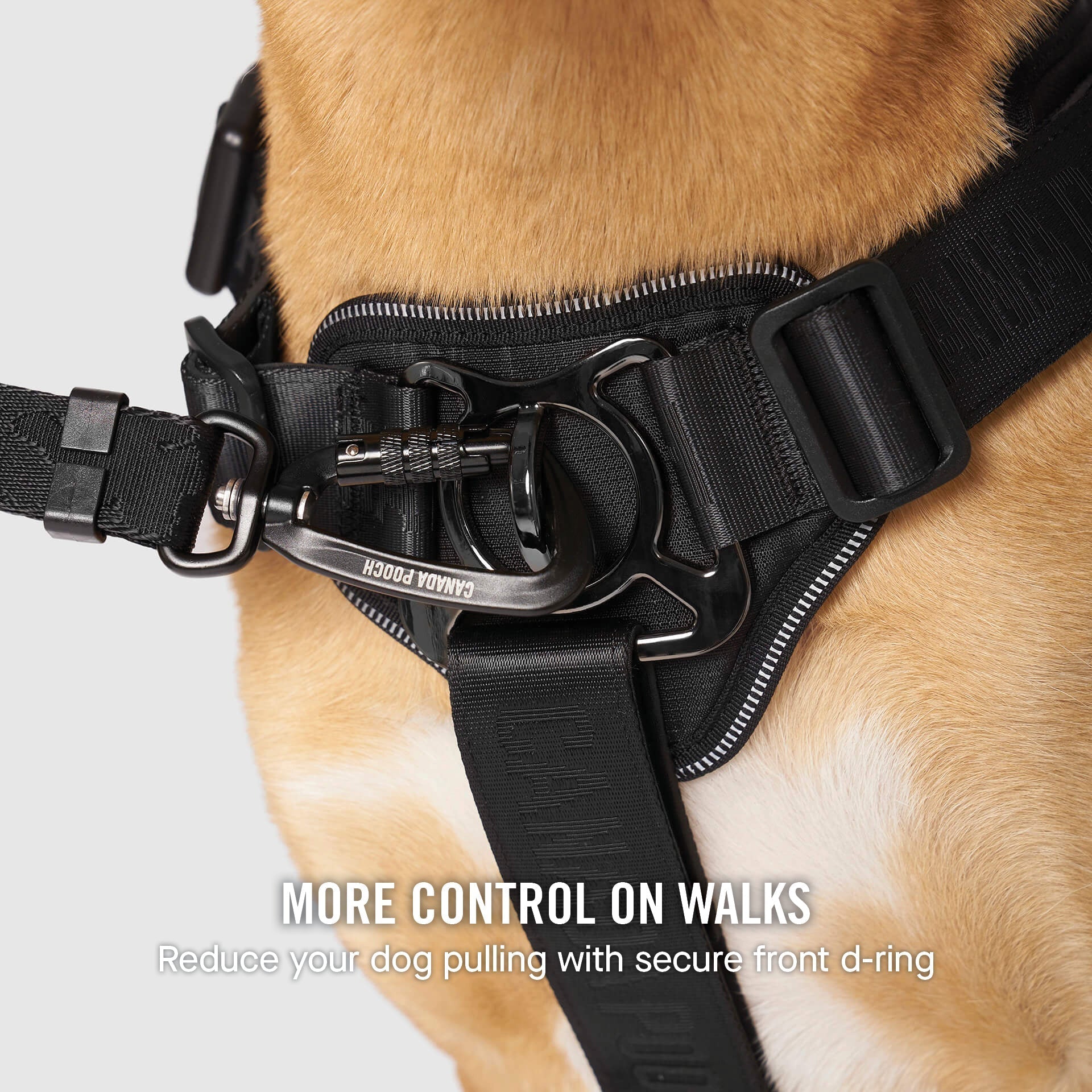 Complete Control Harness K8