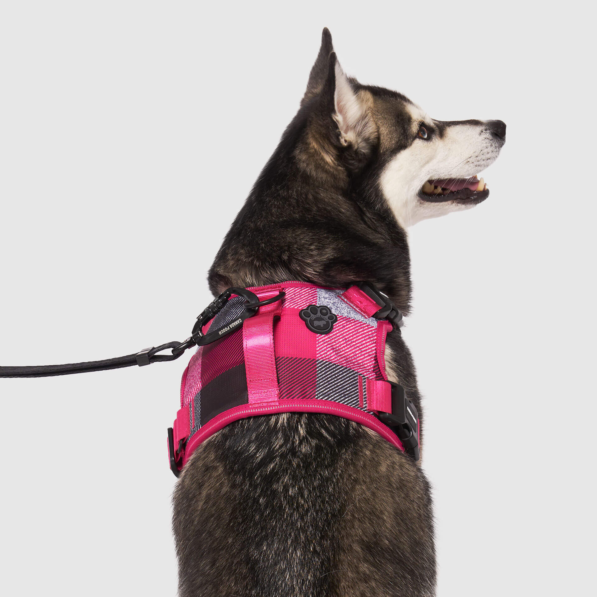Complete Control Harness K8