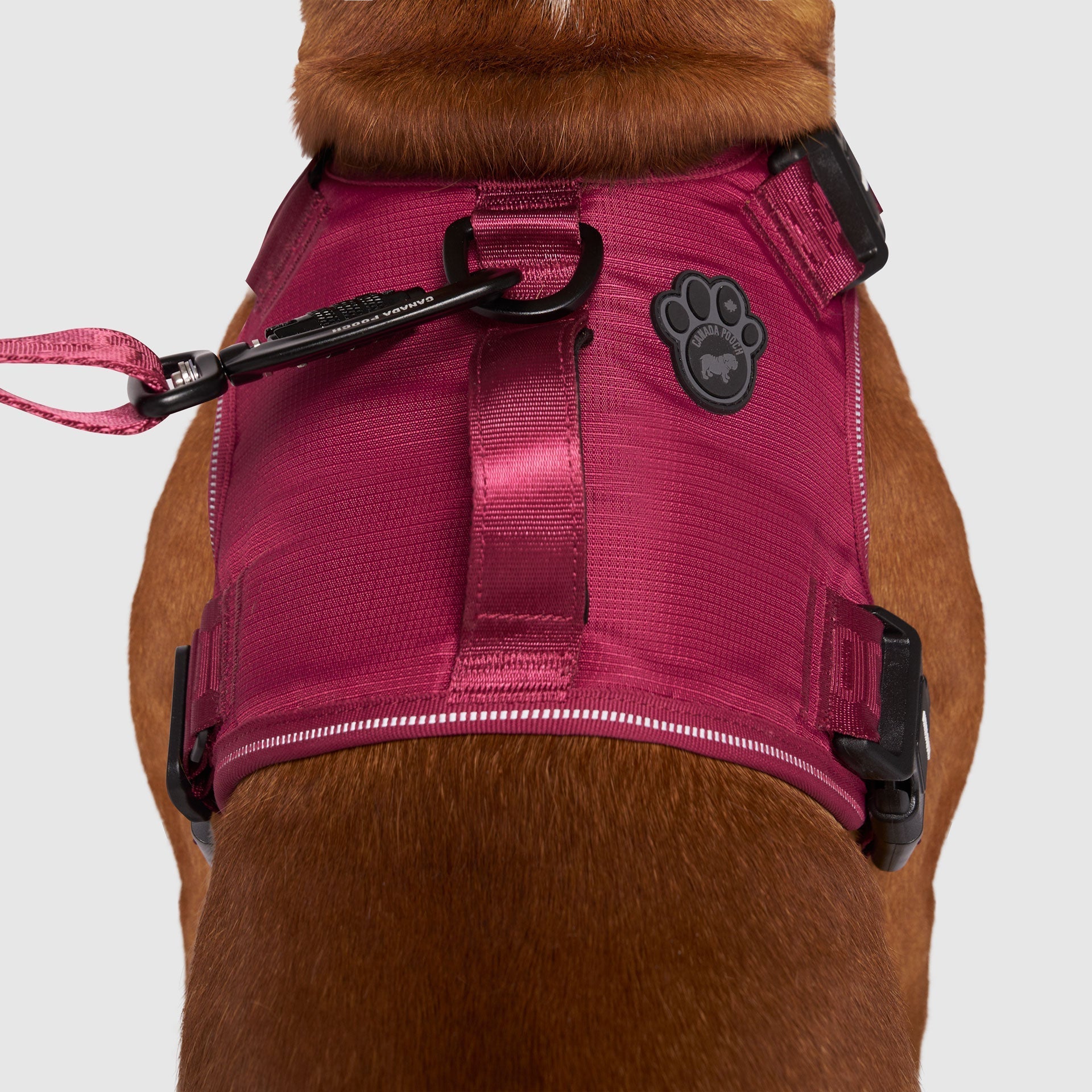 Complete Control Harness K8