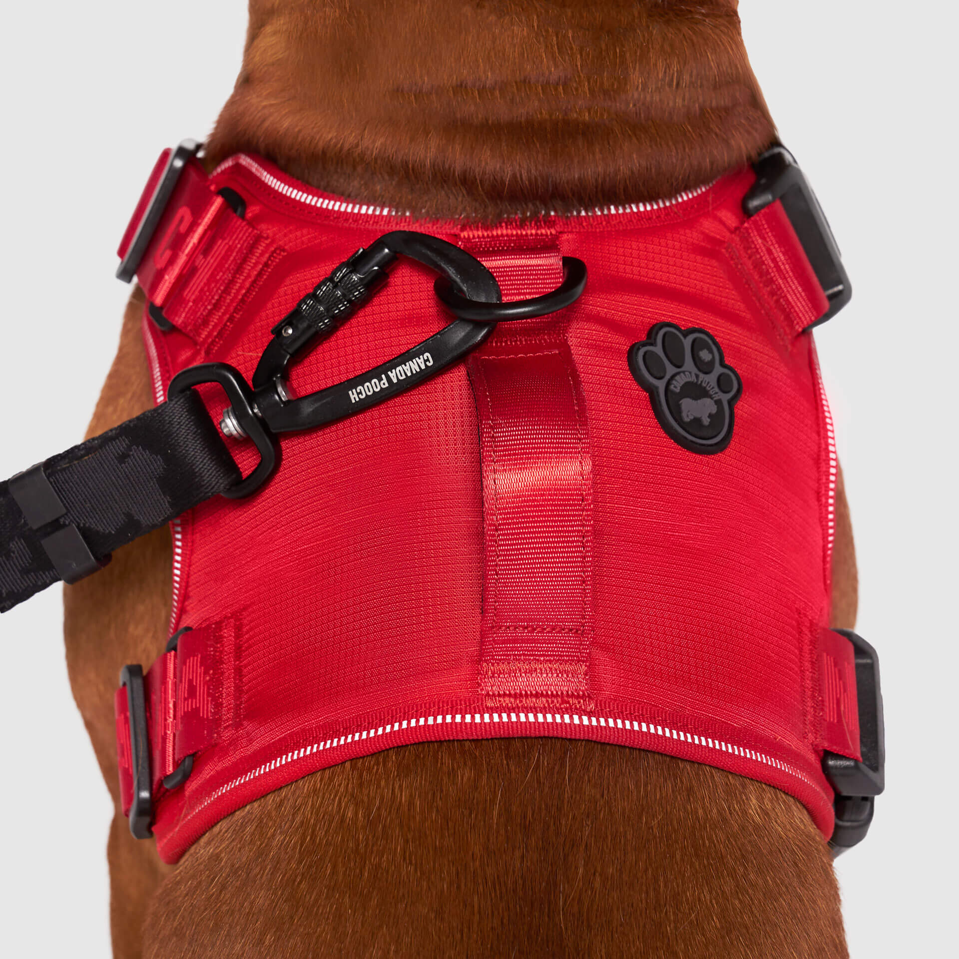 Complete Control Harness K8