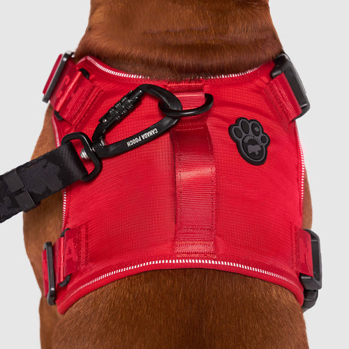 Complete Control Harness K8