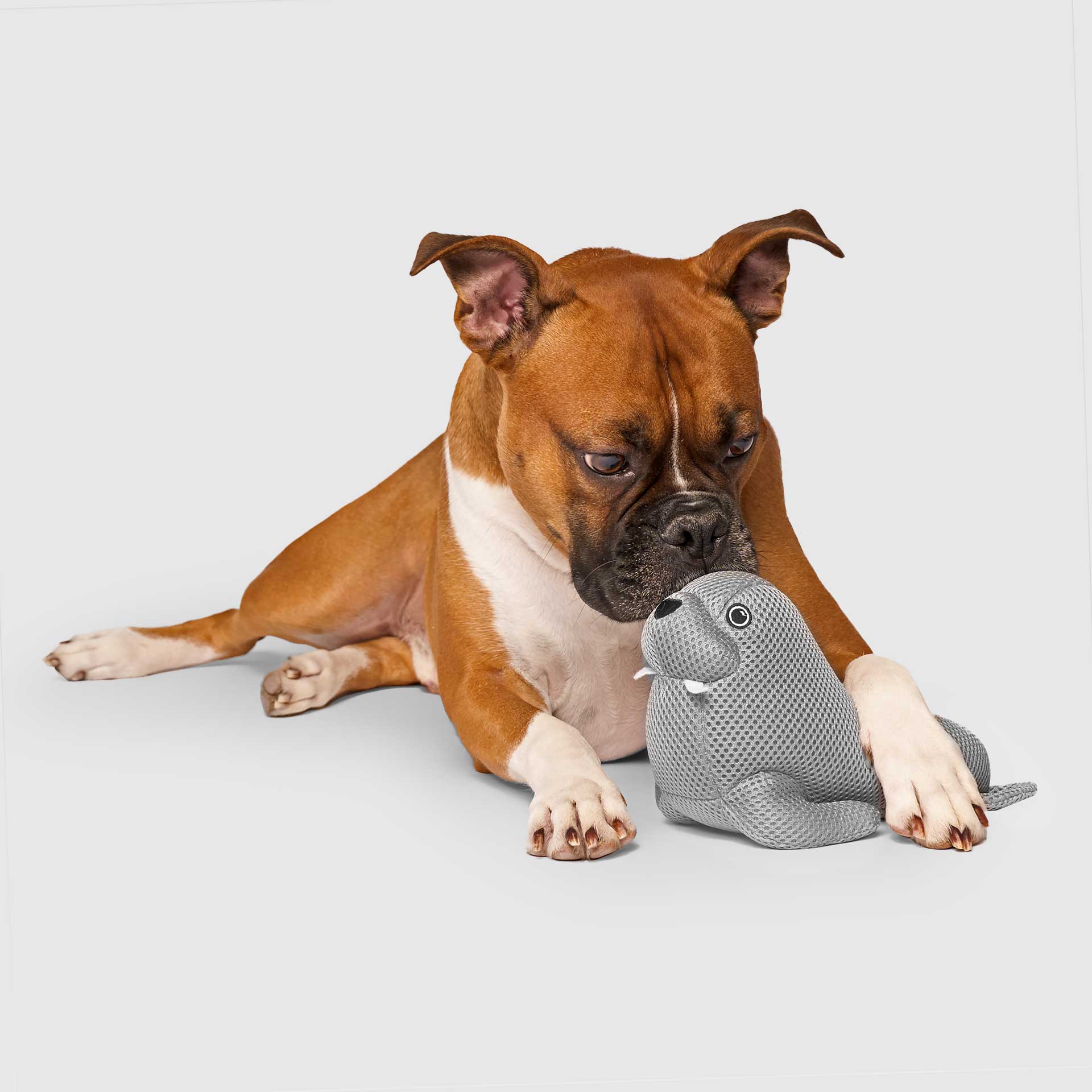 Freeze & Chill Cooling Pal Toy J9