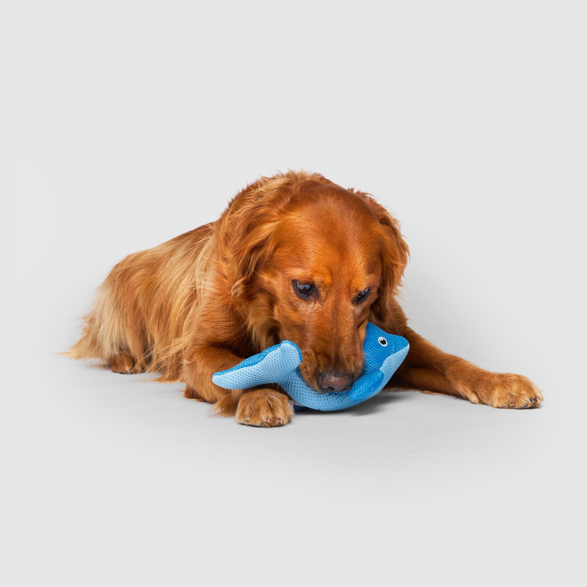 Freeze & Chill Cooling Pal Toy J9
