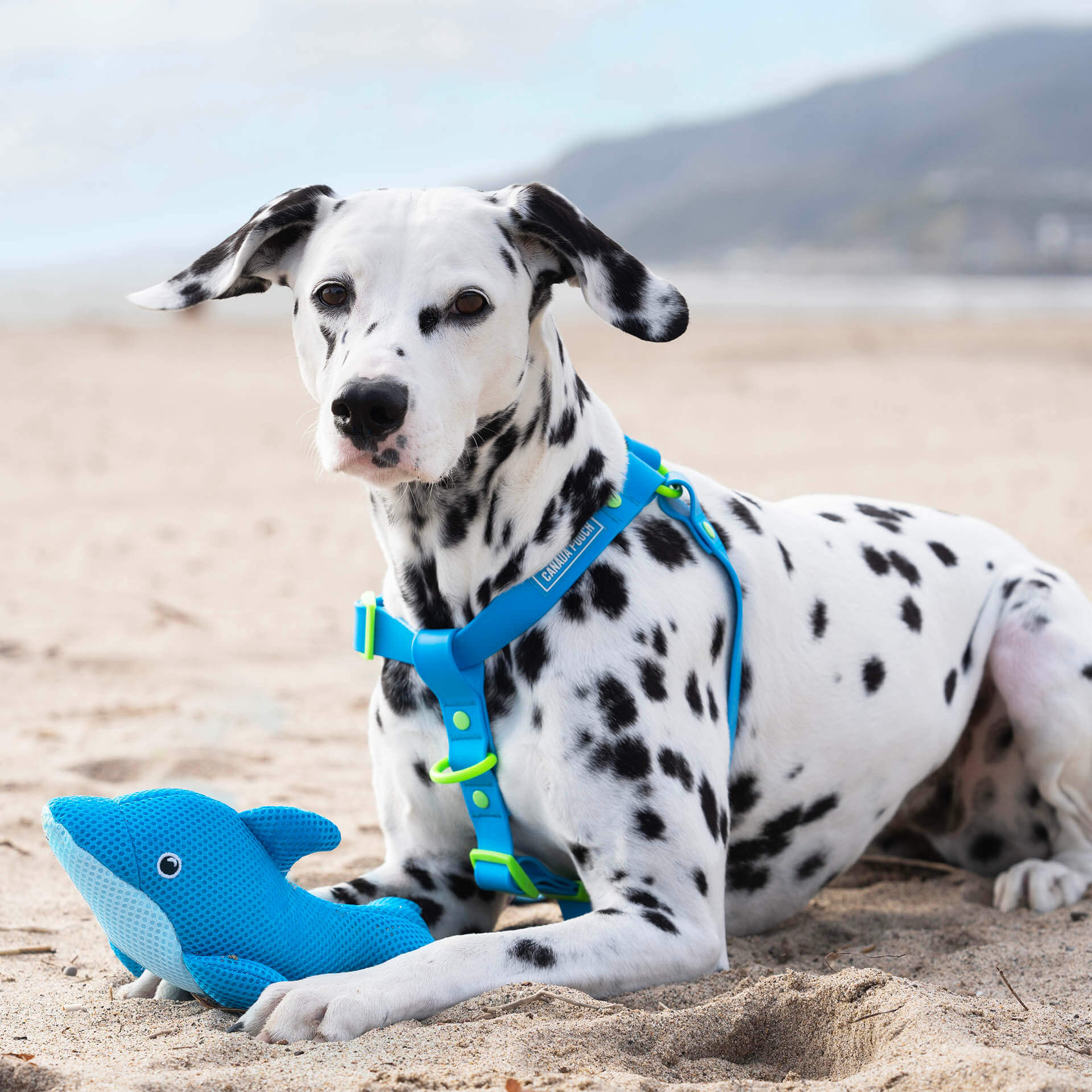 Freeze & Chill Cooling Pal Toy J9