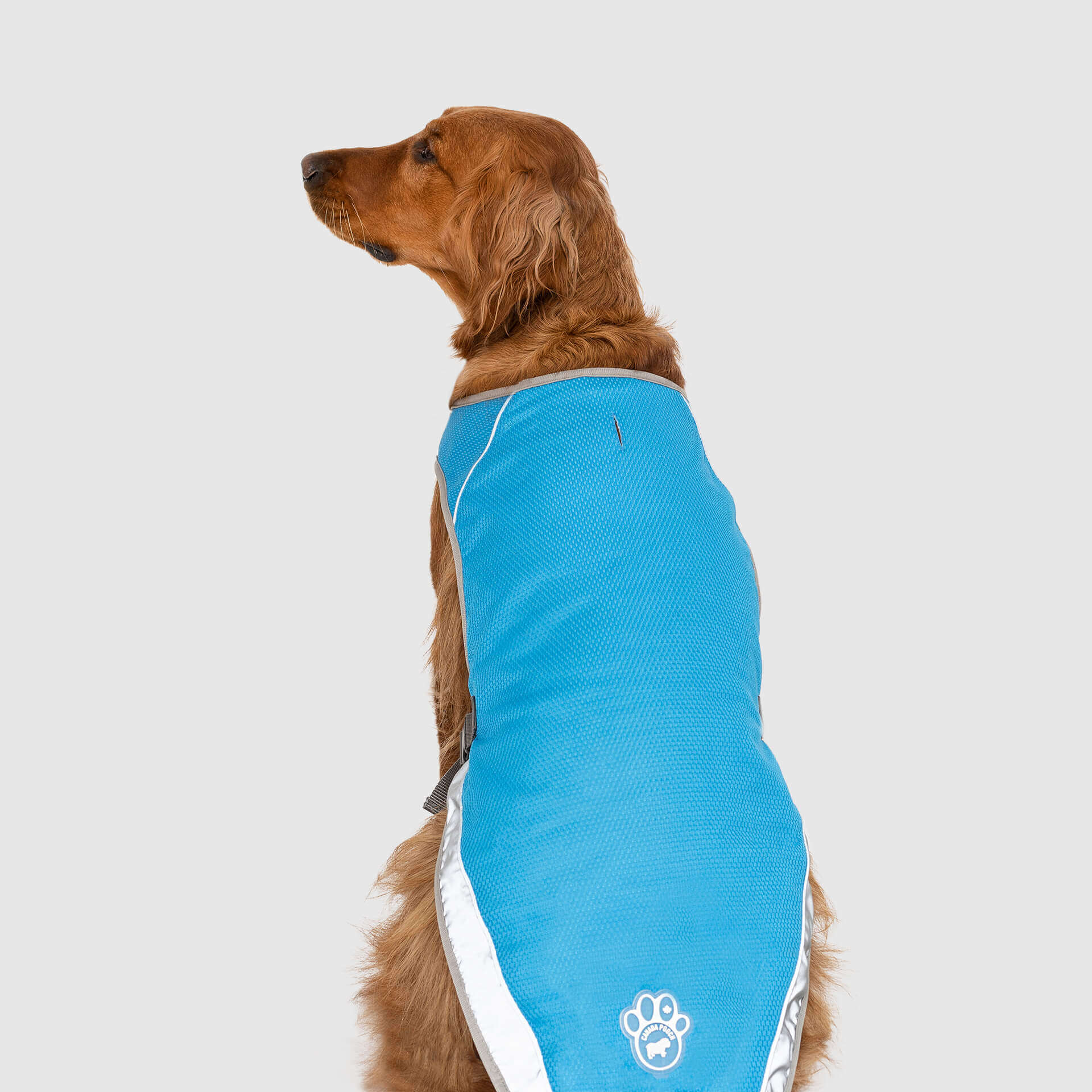 Chill Seeker Cooling Vest D5