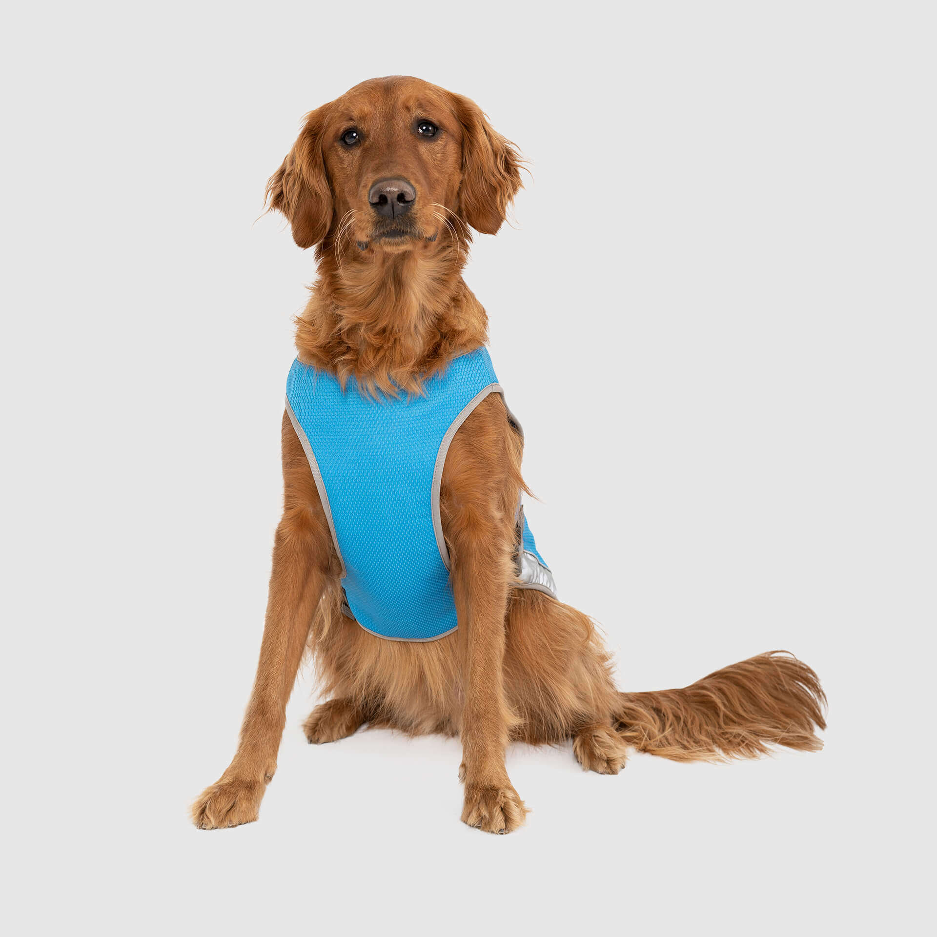 Chill Seeker Cooling Vest D5