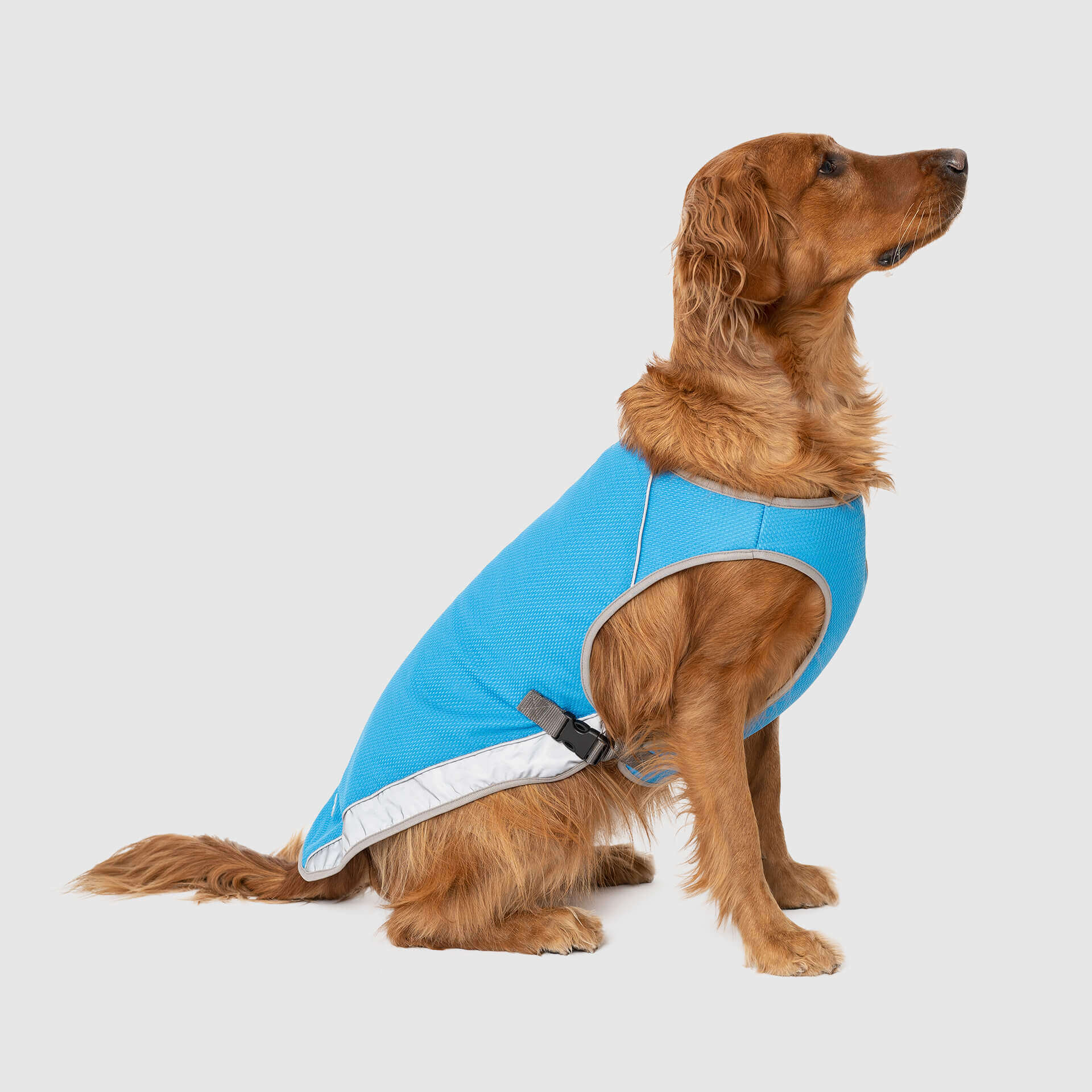 Chill Seeker Cooling Vest D5