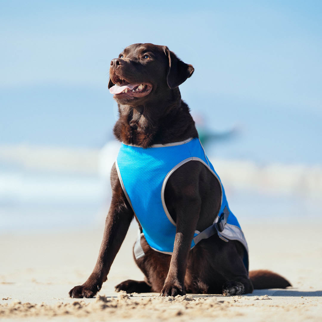 Chill Seeker Cooling Vest D5