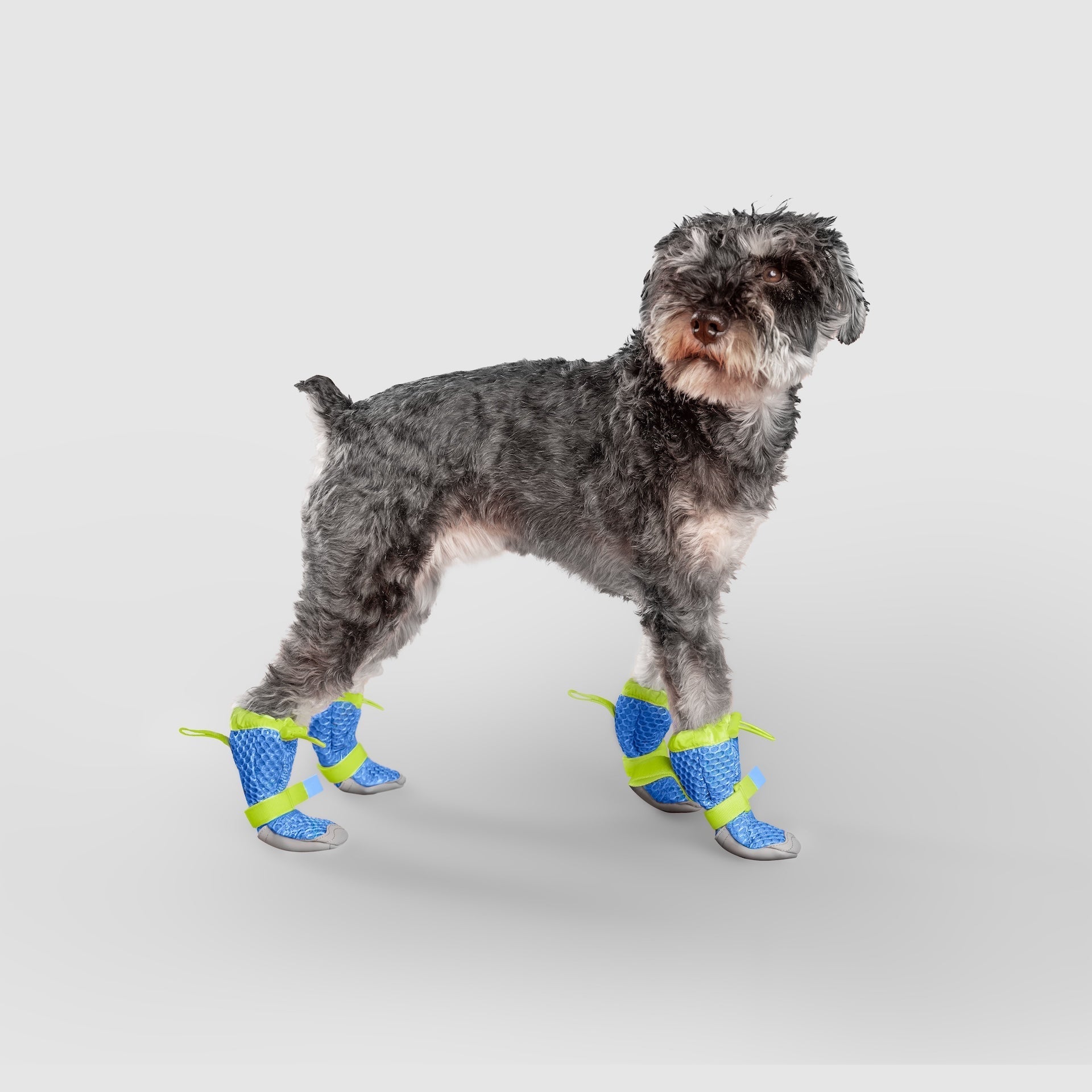 Hot Pavement Boots N5